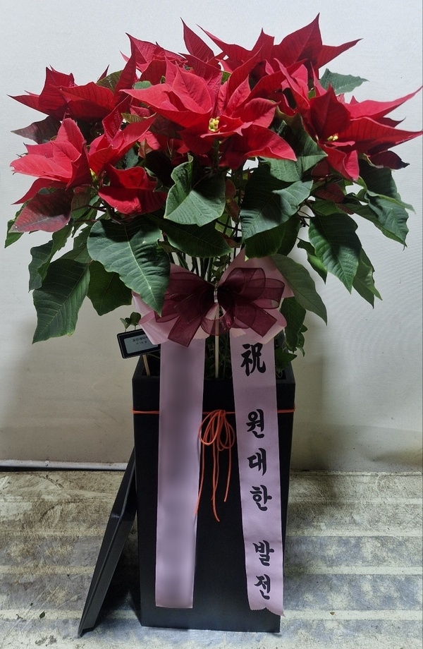 주문자 이ㅇㅇ 서울로 주문주신 상품입니다