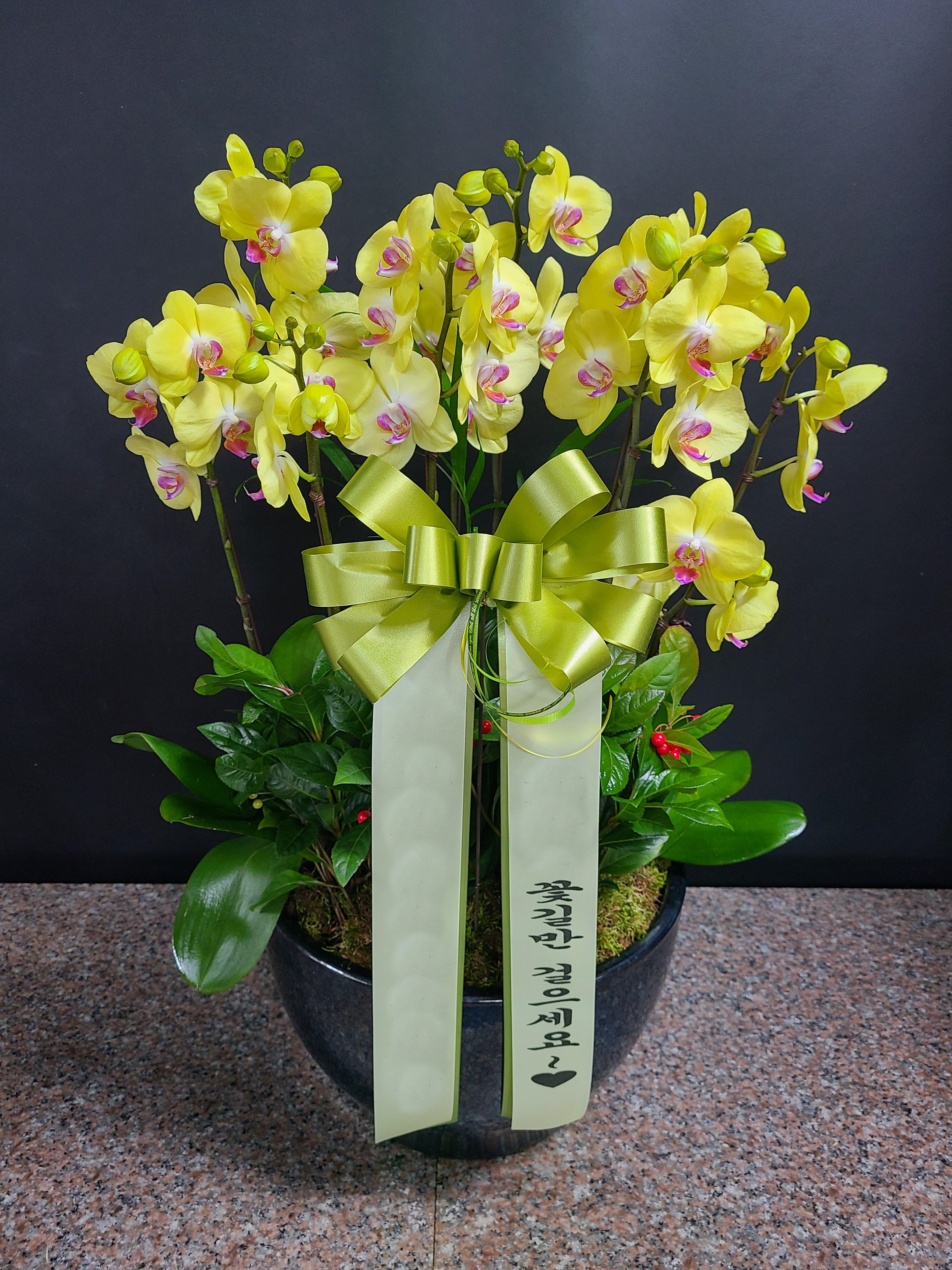 주문자 김ㅇㅇ 성남으로 주문주신 상품입니다