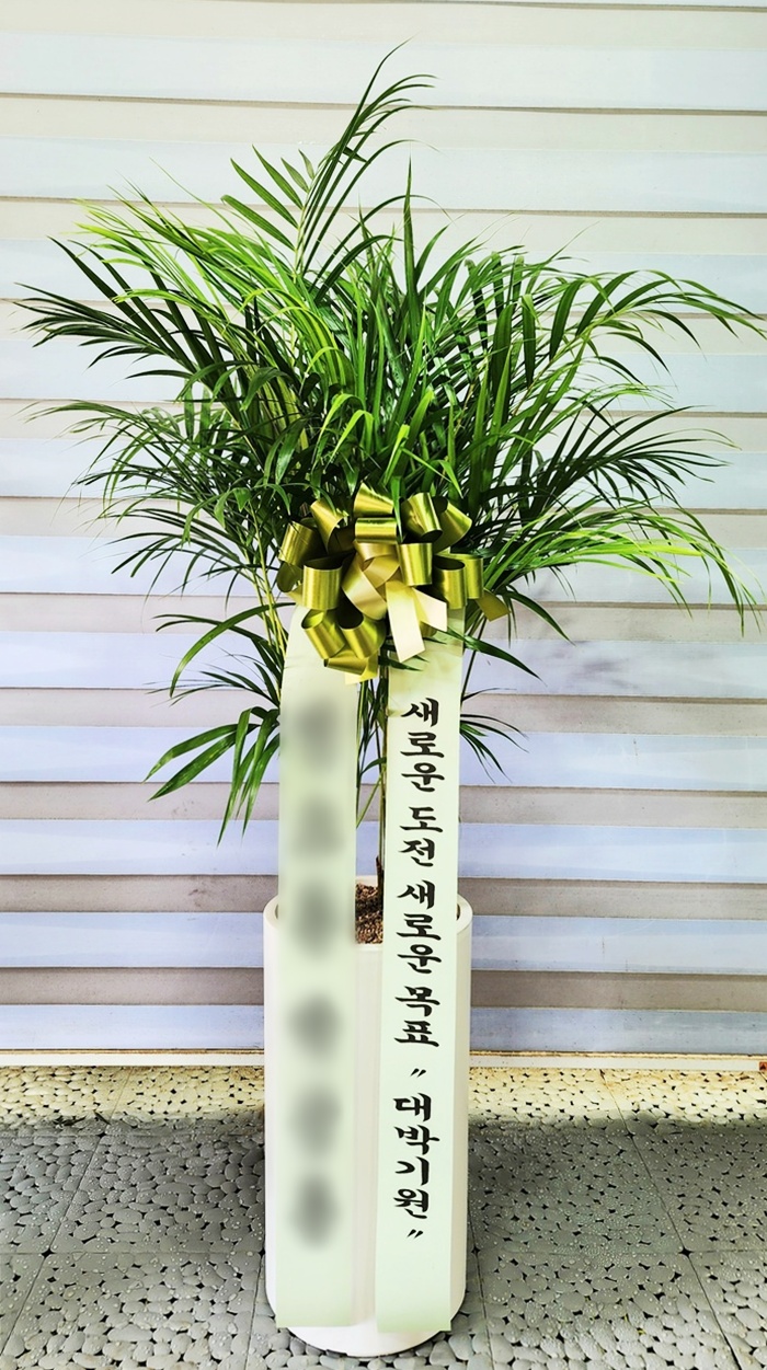 주문자 박ㅇㅇ 제주로 주문주신 상품입니다