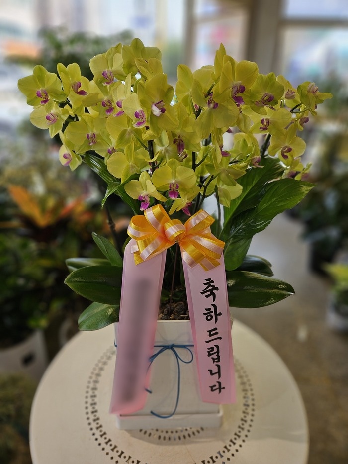 주문자 문ㅇㅇ 인천으로 주문주신 상품입니다