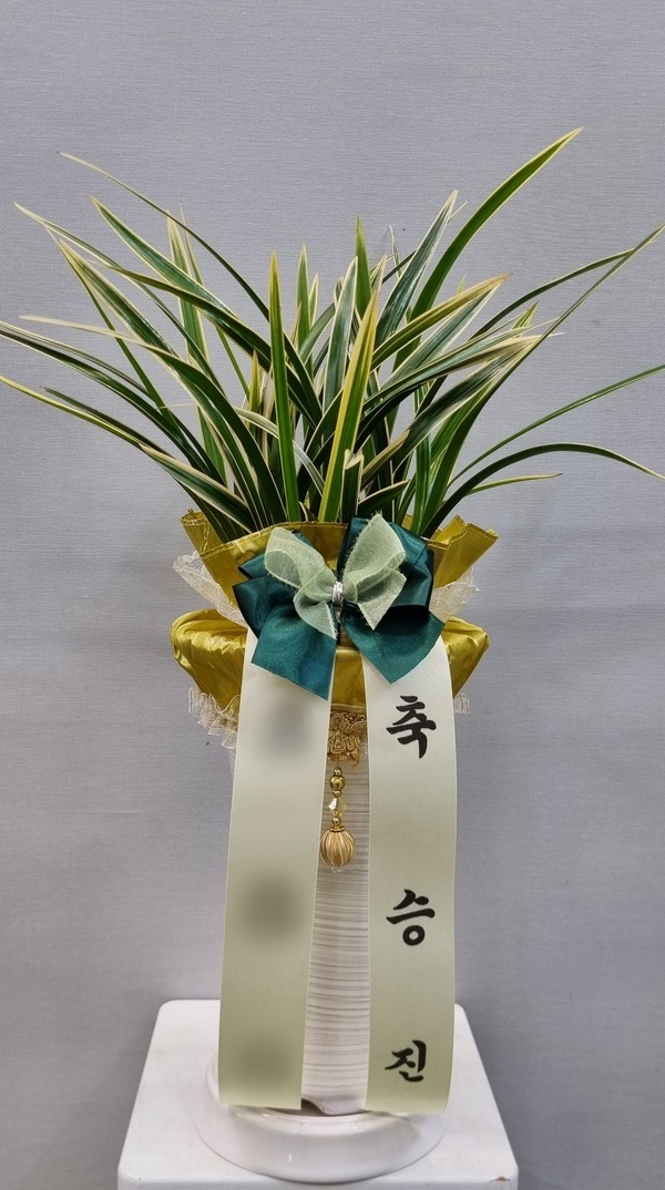 주문자 금ㅇ 대구로 주문주신 상품입니다