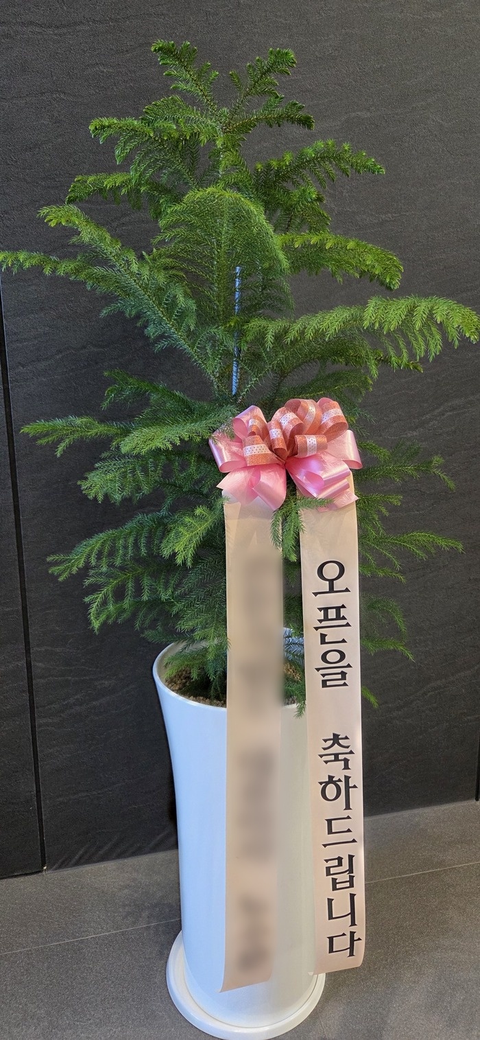 주문자 은ㅇㅇㅇ 평택으로 주문주신 상품입니다