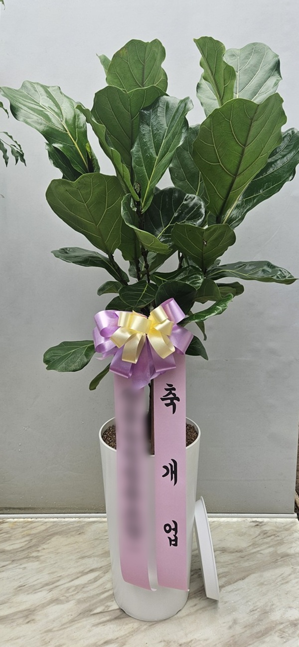 주문자 임ㅇㅇ 양주로 주문주신 상품입니다