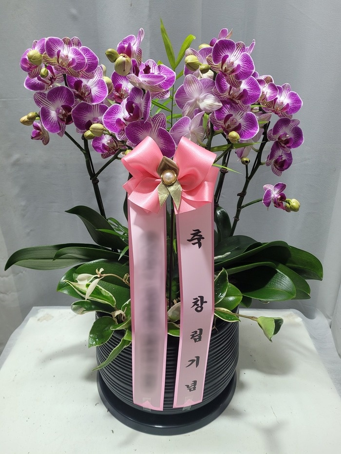 주문자 기ㅇㅇㅇ 화성으로 주문주신 상품입니다