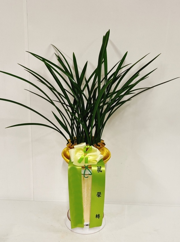 주문자 진ㅇㅇㅇ 창원으로 주문주신 상품입니다