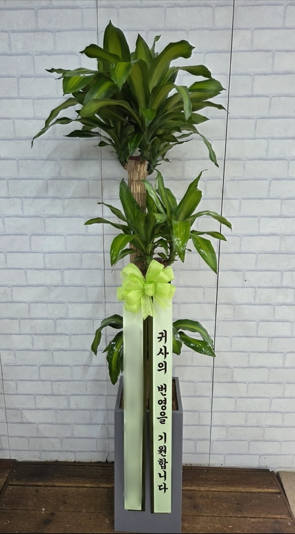 주문자 현ㅇㅇㅇㅇ 용인으로 주문주신 상품입니다