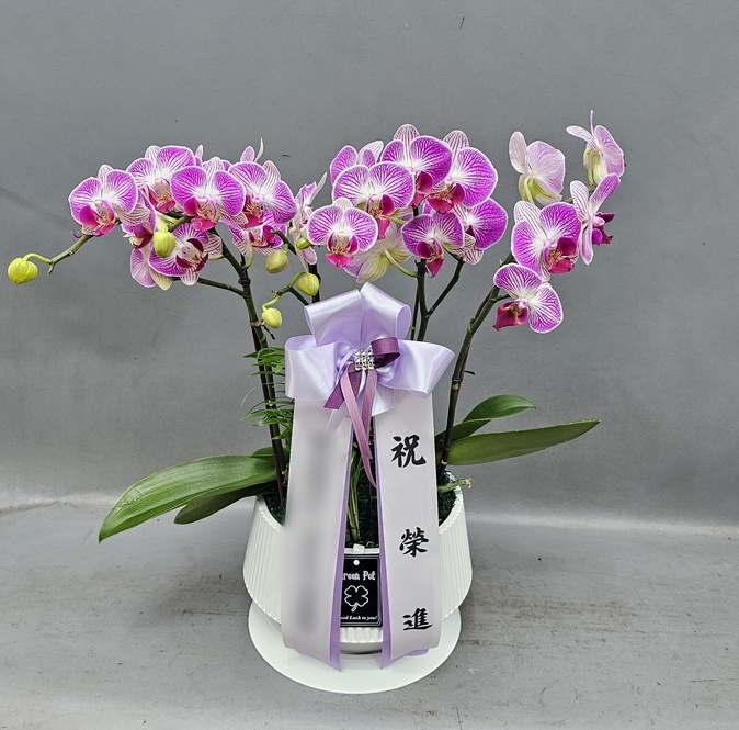 주문자 엔ㅇㅇㅇ 안양으로 주문주신 상품입니다