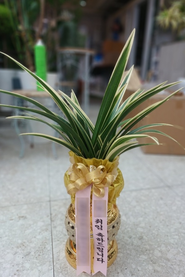 주문자 효ㅇ 강화군으로 주문주신 상품입니다