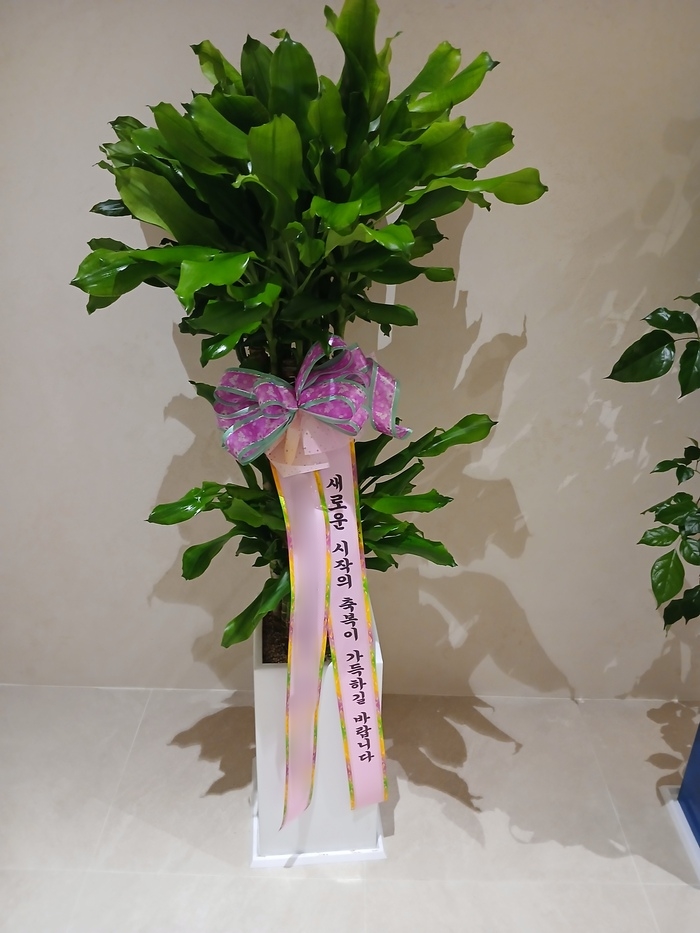 주문자 박ㅇㅇ 진주로 주문주신 상품입니다