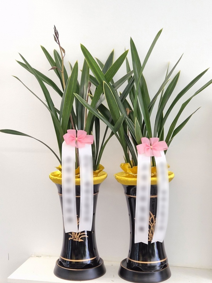 주문자 진ㅇㅇ 의정부로 주문주신 상품입니다