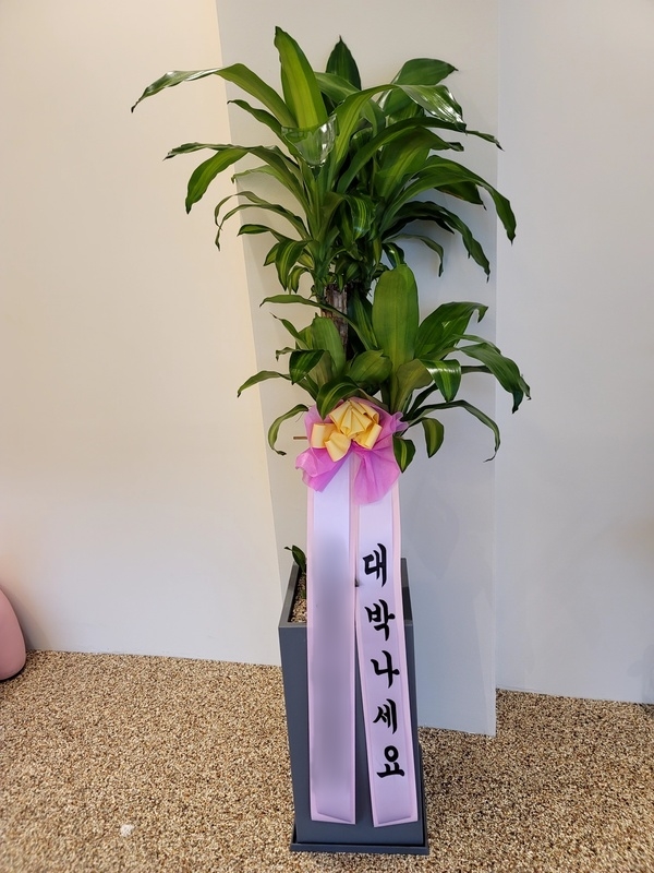 주문자 정ㅇㅇ 청주로 주문주신 상품입니다