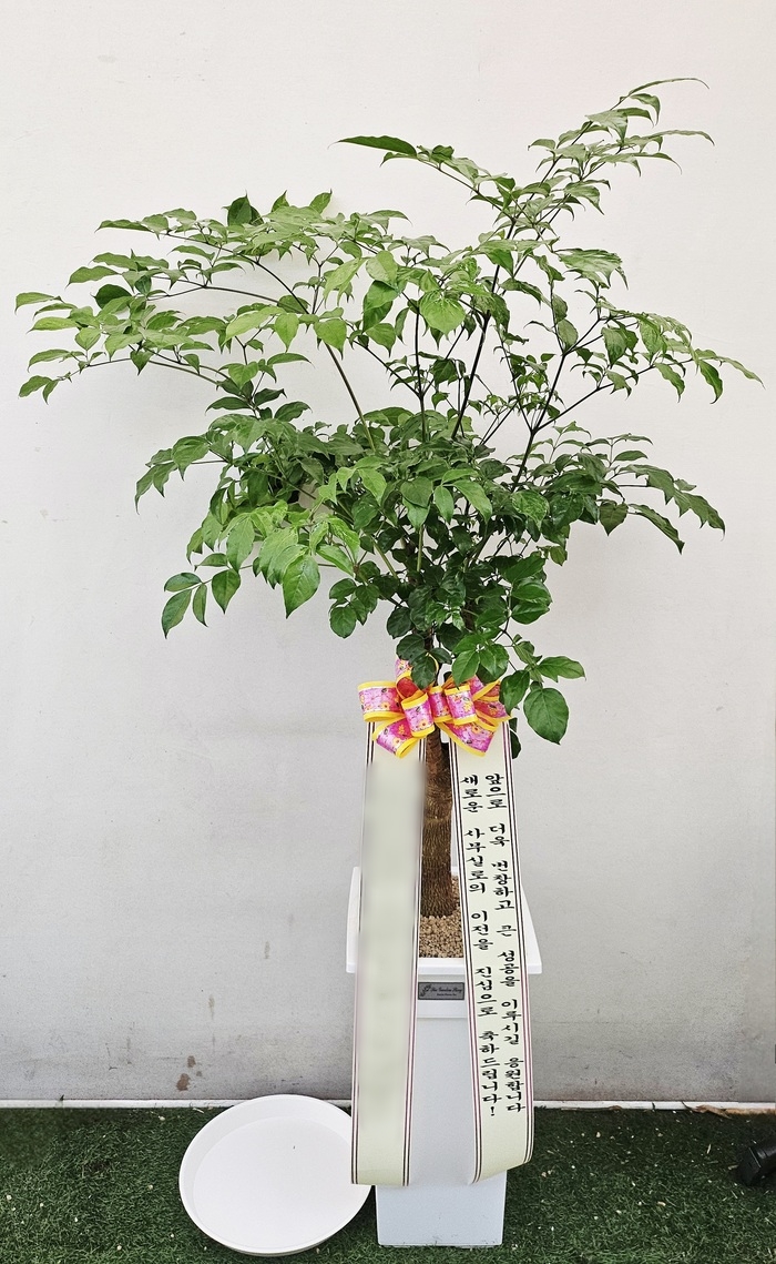 주문자 주ㅇㅇㅇ 계룡으로 주문주신 상품입니다