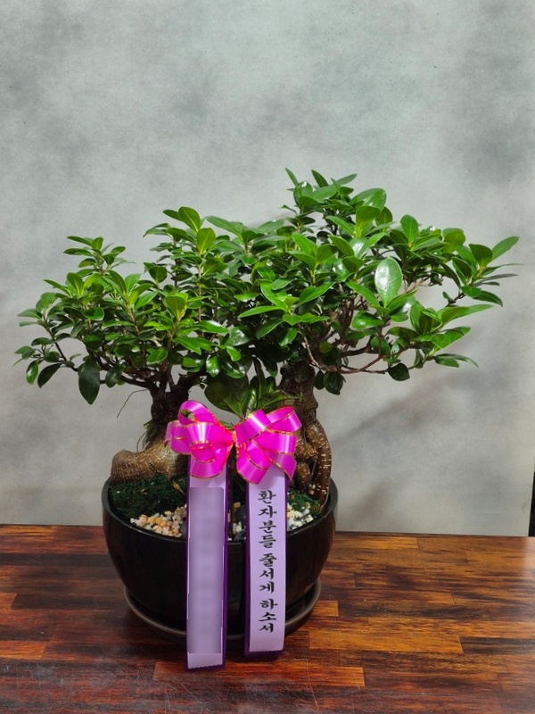 주문자 신ㅇㅇ 성남으로 주문주신 상품입니다