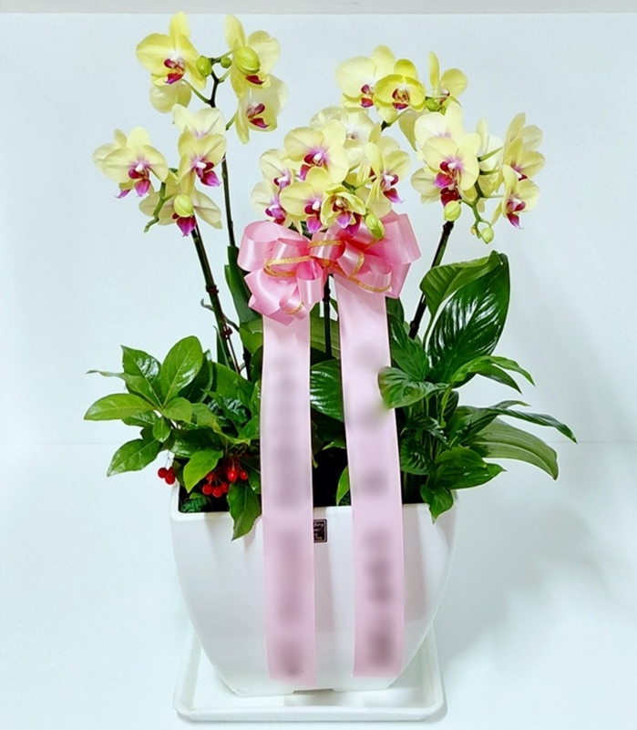 주문자 김ㅇㅇ 청주로 주문주신 상품입니다