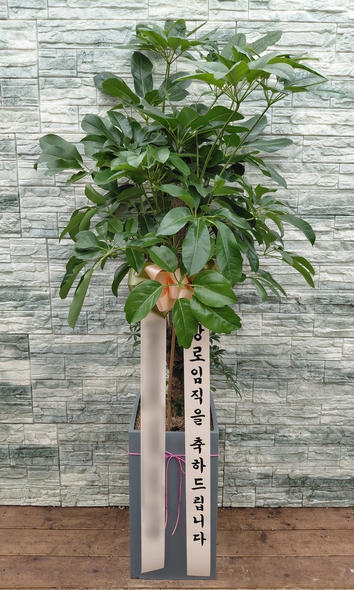 주문자 윤ㅇㅇ 서울로 주문주신 상품입니다