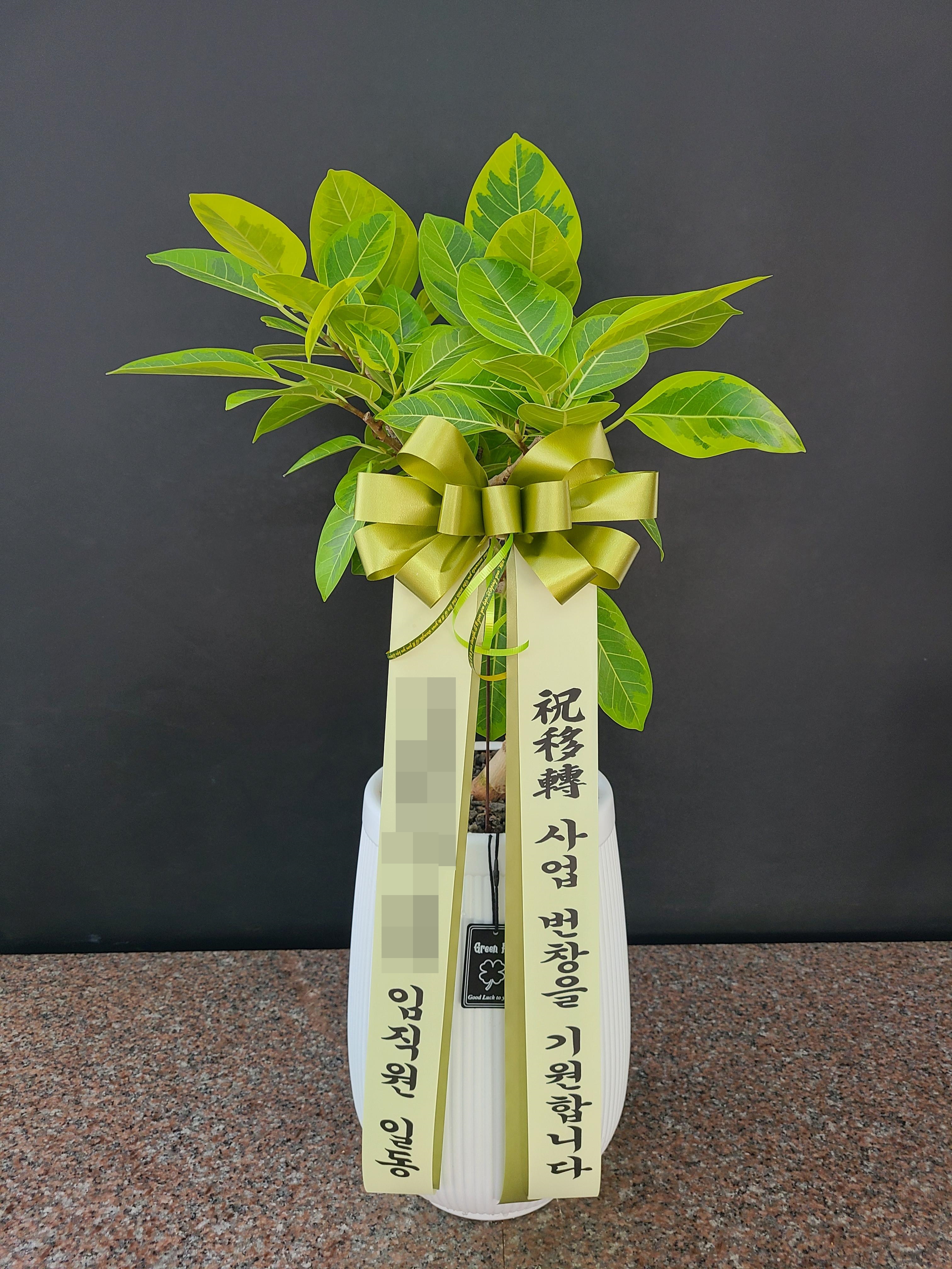 주문자 꿈ㅇㅇ 용인으로 주문주신 상품입니다