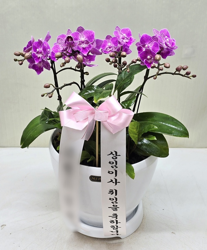 주문자 펄ㅇ 대구로 주문주신 상품입니다