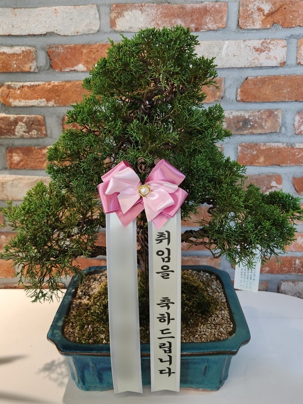 주문자 경ㅇㅇ 세종으로 주문주신 상품입니다