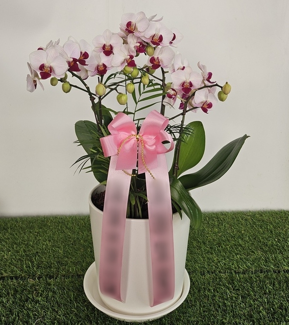 주문자 임ㅇㅇ 울산으로 주문주신 상품입니다