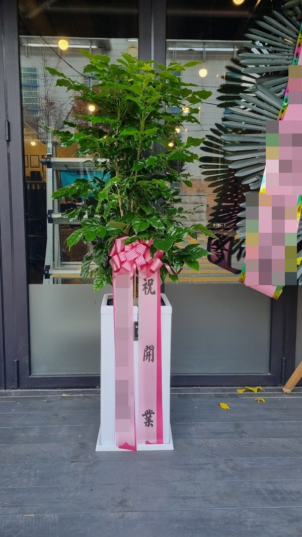 주문자 하ㅇㅇ 광명으로 주문주신 상품입니다