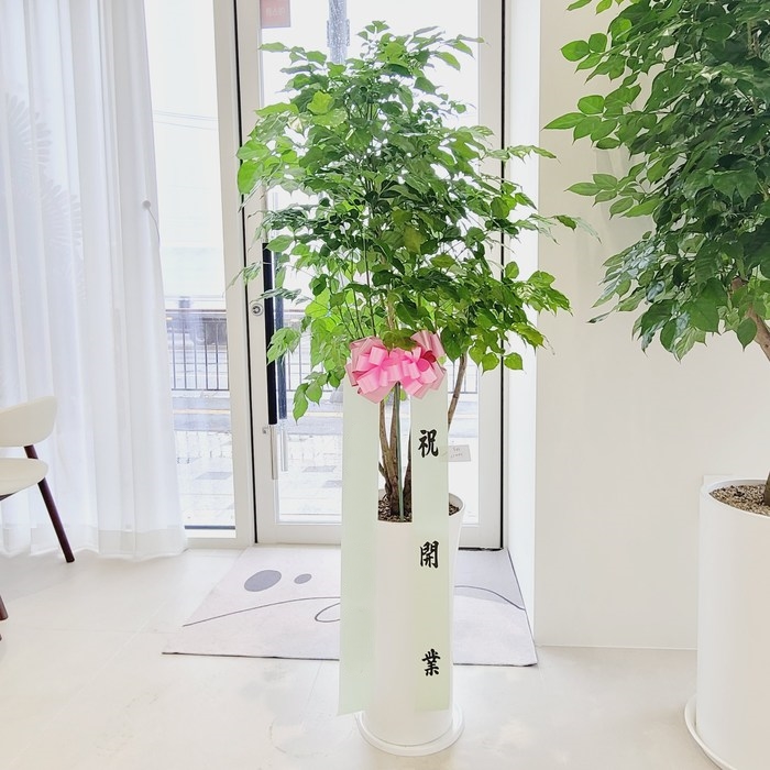 주문자 꽃ㅇㅇ 아산으로 주문주신 상품입니다