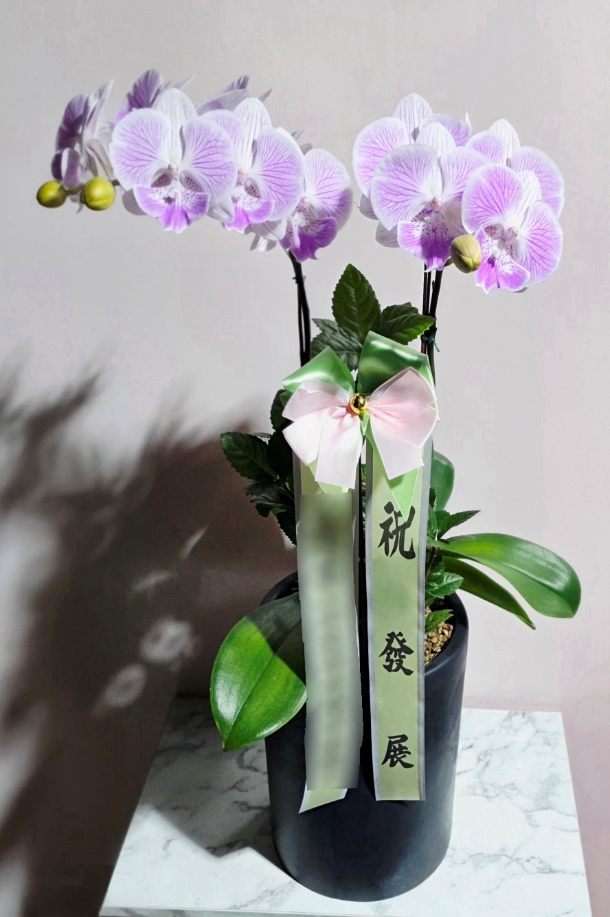 주문자 수ㅇㅇㅇ 서울로 주문주신 상품입니다