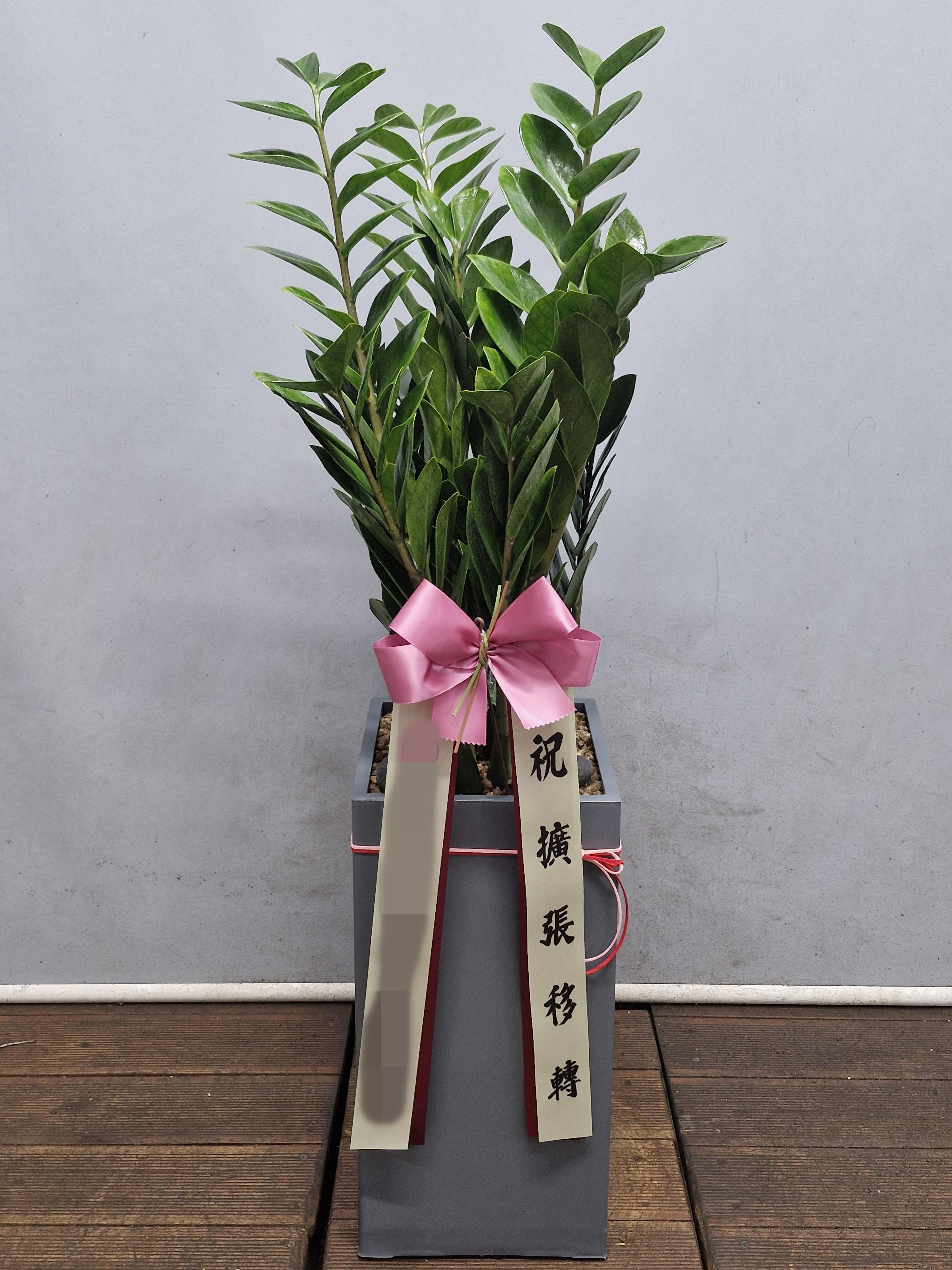 주문자 손ㅇㅇ 서울로 주문주신 상품입니다