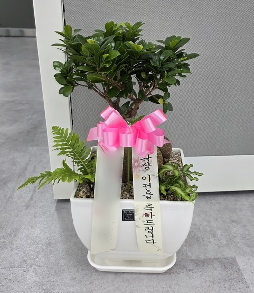 주문자 전ㅇㅇ 화성으로 주문주신 상품입니다