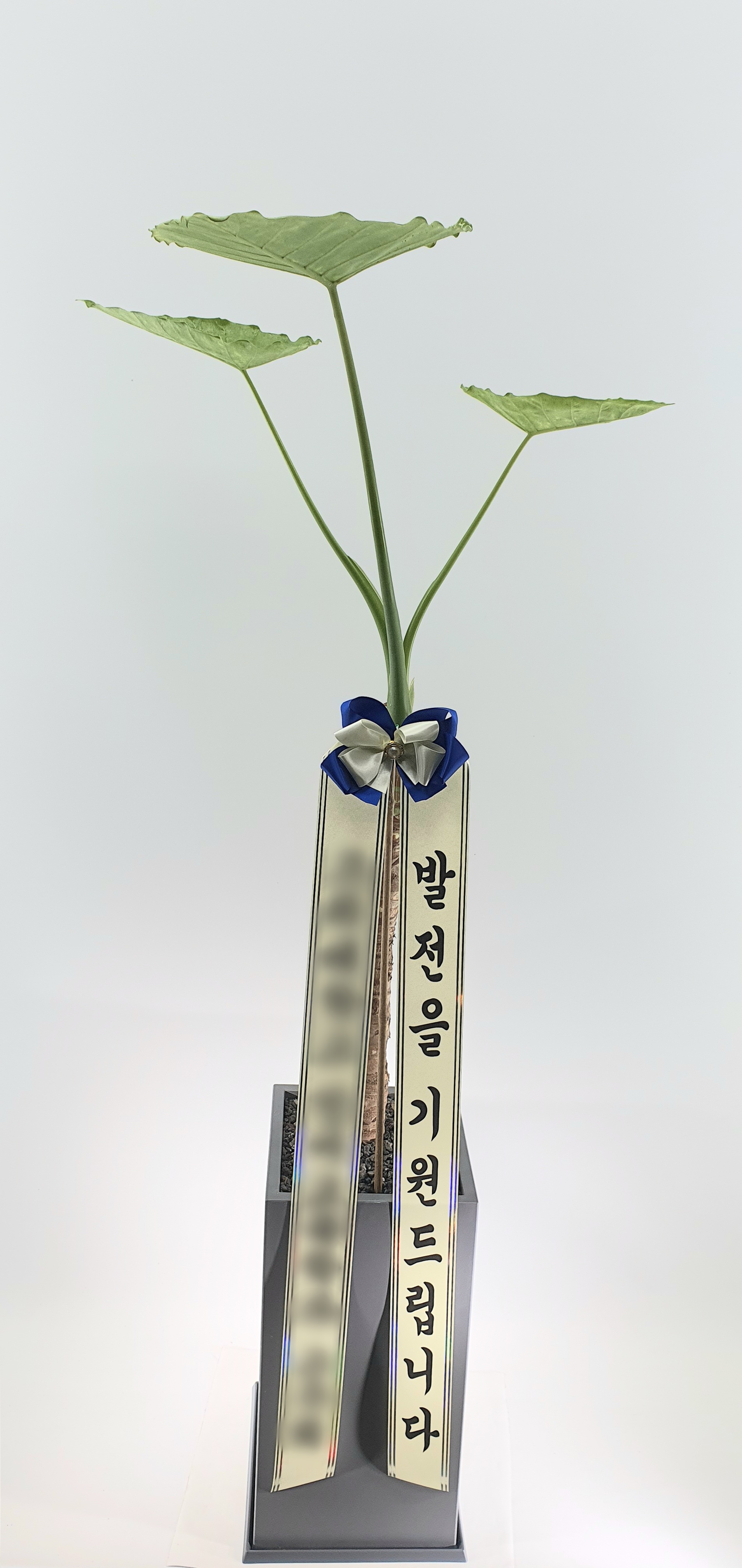 주문자 김ㅇㅇ 서울로 주문주신 상품입니다