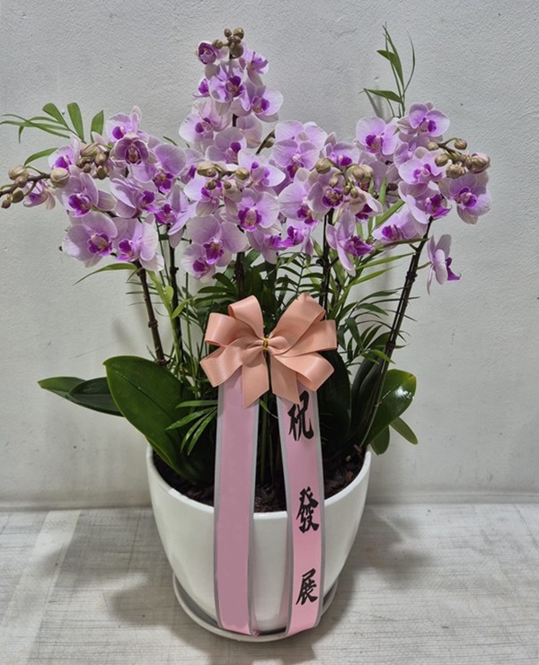 주문자 이ㅇㅇ 포항으로 주문주신 상품입니다