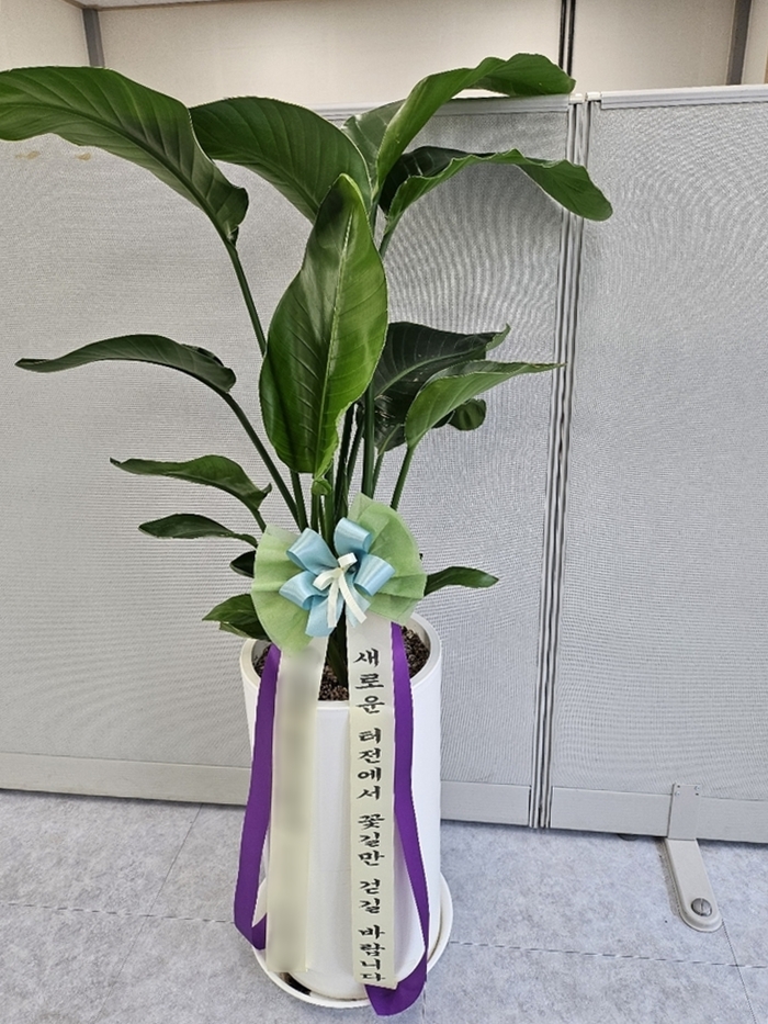 주문자 구ㅇㅇㅇ 대전으로 주문주신 상품입니다