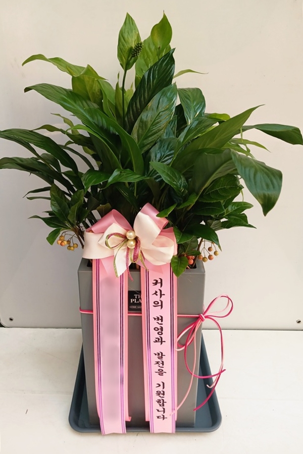 주문자 킹ㅇㅇㅇㅇ 광주로 주문주신 상품입니다