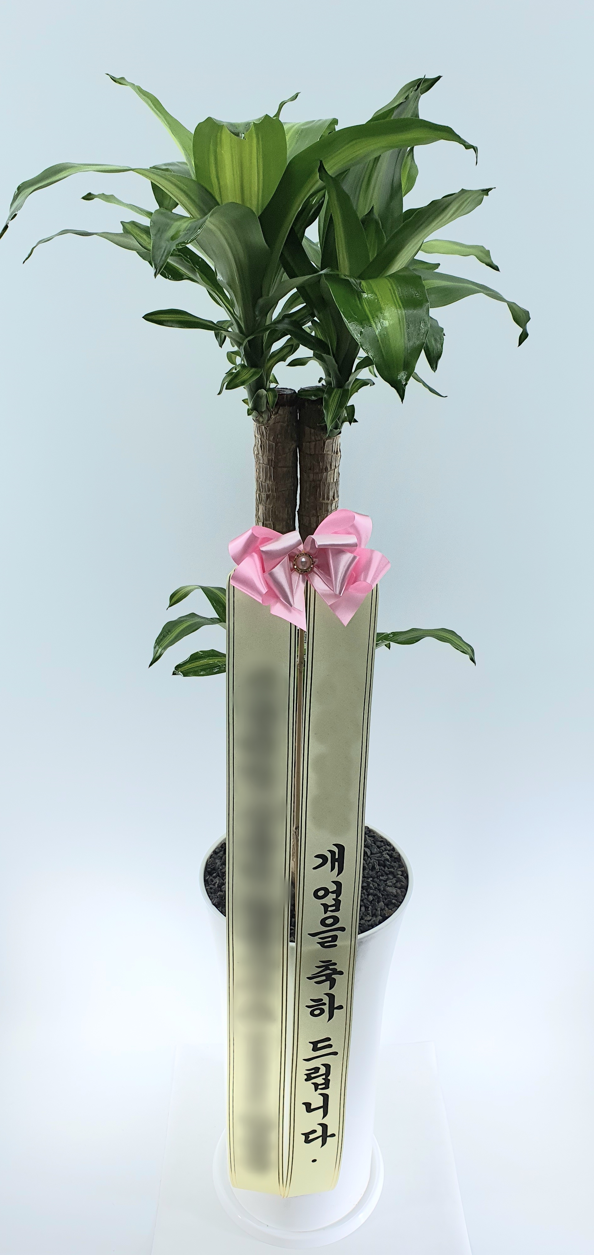 주문자 박ㅇㅇ 서울로 주문주신 상품입니다