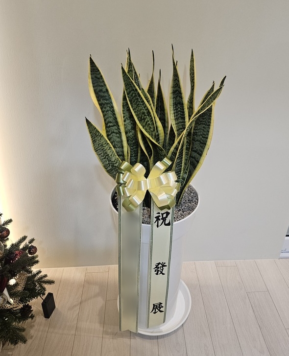 주문자 송ㅇㅇ 화성으로 주문주신 상품입니다