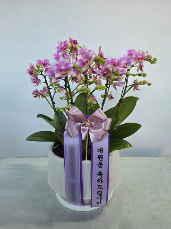 주문자 박ㅇㅇ 창원으로 주문주신 상품입니다