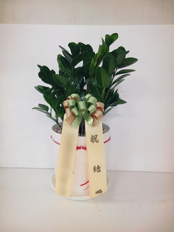 주문자 현ㅇㅇㅇㅇ 부산으로 주문주신 상품입니다