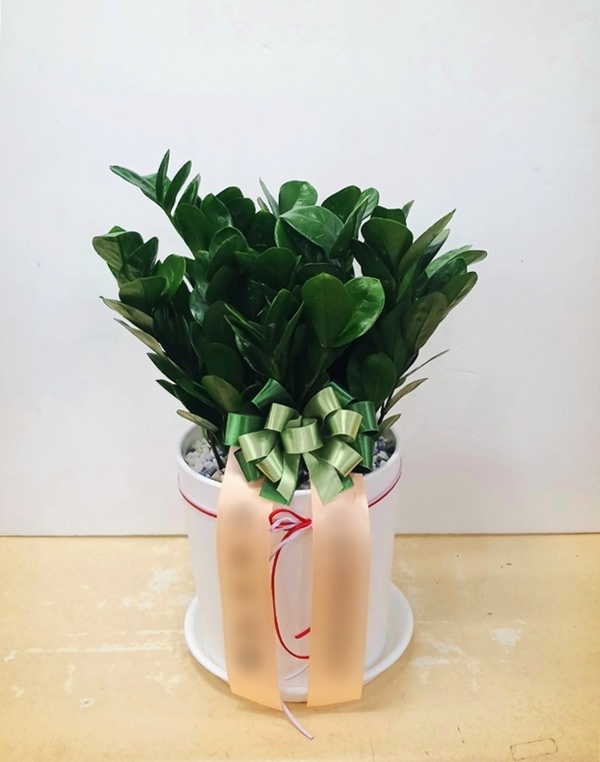 주문자 김ㅇㅇ 부산으로 주문주신 상품입니다