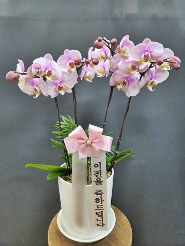 주문자 범ㅇ 순천으로 주문주신 상품입니다