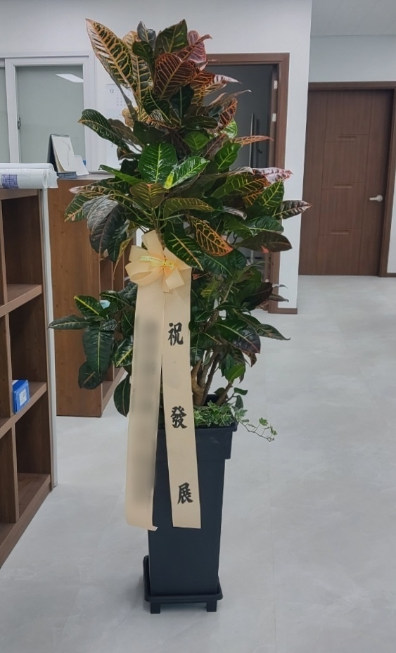 주문자 최ㅇㅇ 함안으로 주문주신 상품입니다