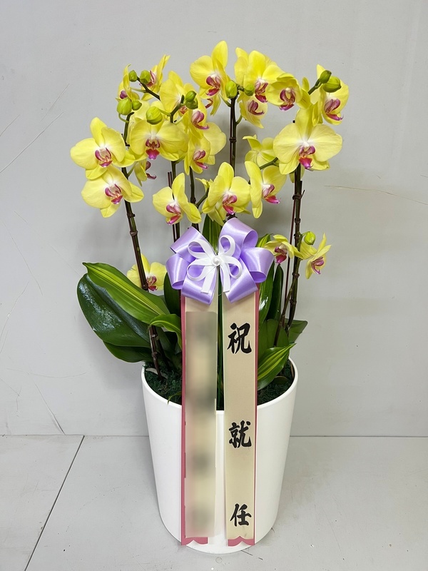 주문자 이ㅇㅇ 파주로 주문주신 상품입니다