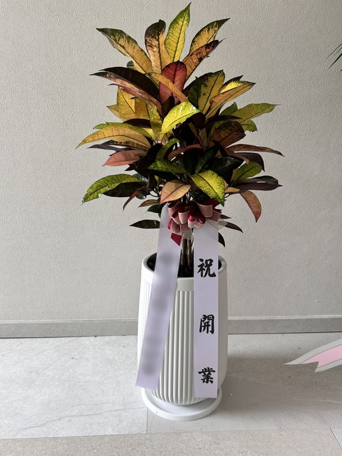 주문자 영ㅇㅇㅇ 구미로 주문주신 상품입니다