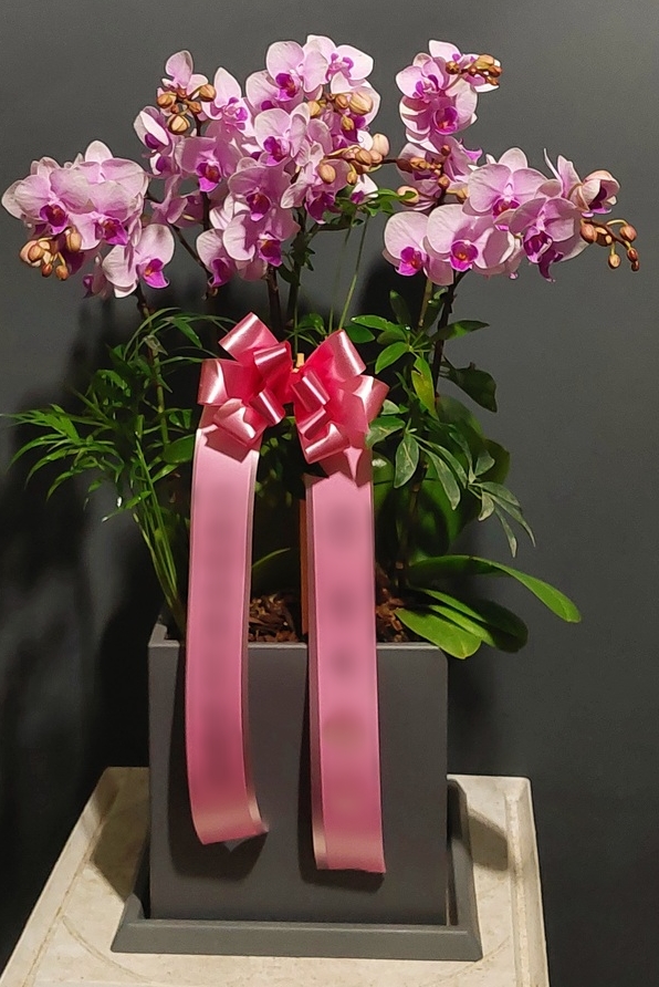 주문자 김ㅇㅇ 서울로 주문주신 상품입니다