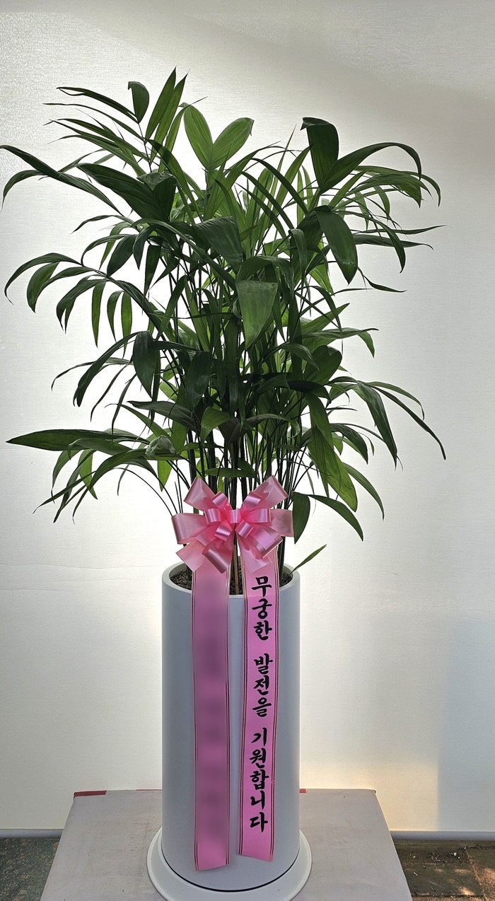 주문자 해ㅇㅇㅇ 경기 광주로 주문주신 상품입니다