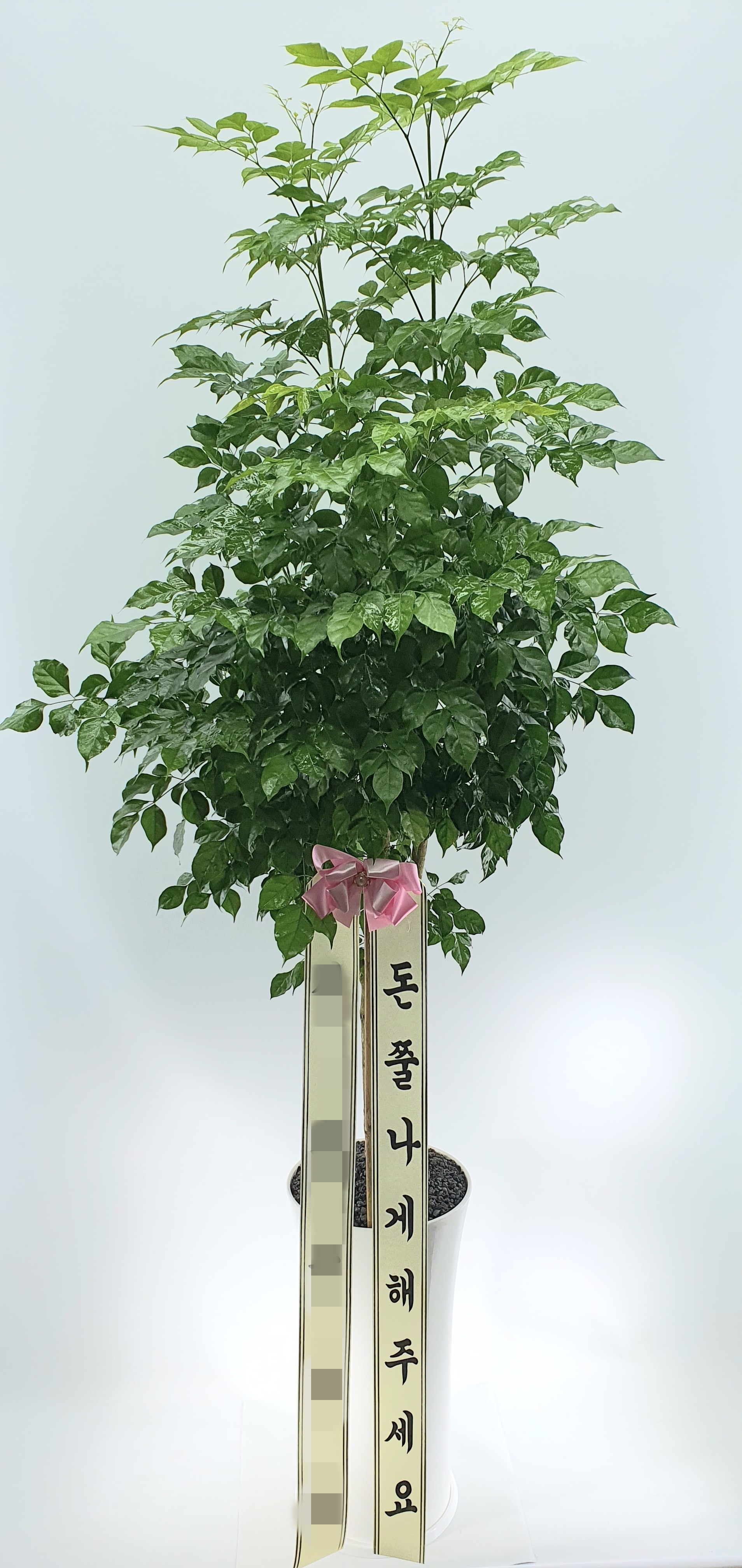 주문자 윤ㅇㅇ 구리로 주문주신 상품입니다