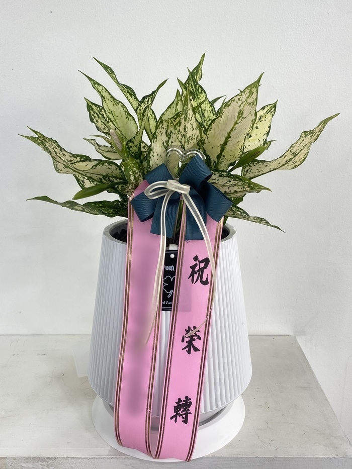 주문자 김ㅇㅇ 거제로 주문주신 상품입니다