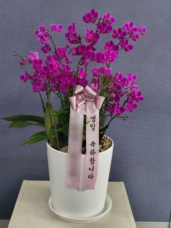 주문자 만ㅇ 순천으로 주문주신 상품입니다