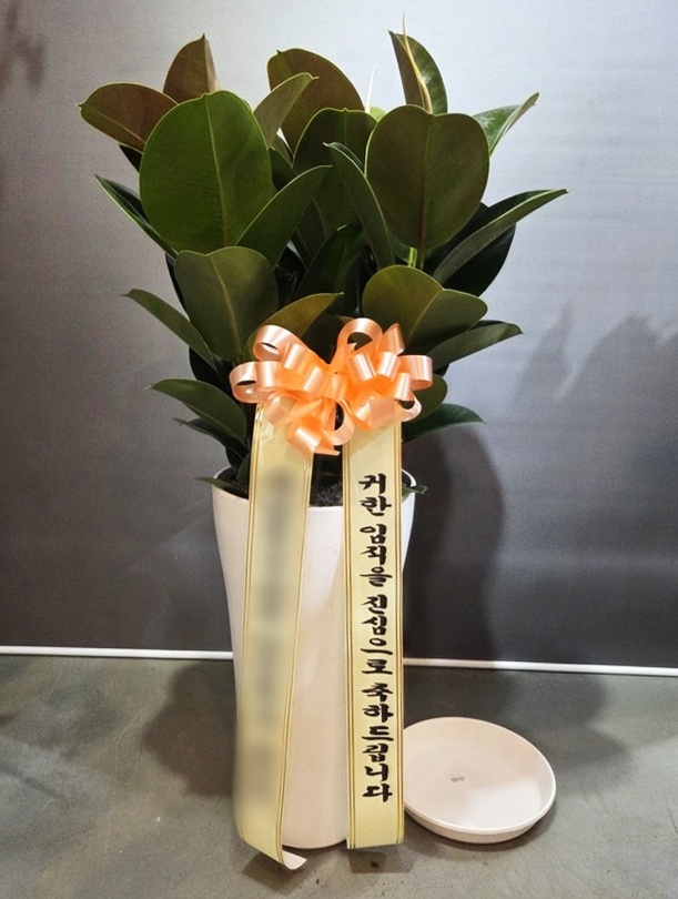 주문자 조ㅇㅇ 경기광주로 주문주신 상품입니다