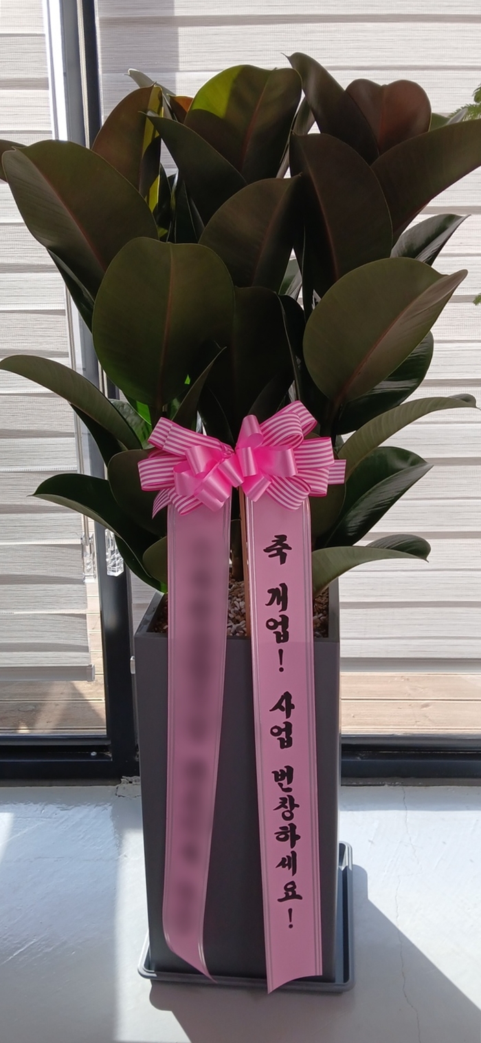 주문자 부ㅇㅇㅇㅇㅇ 화성으로 주문주신 상품입니다