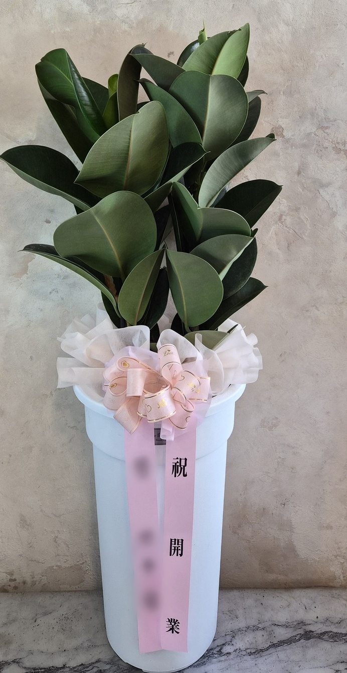 주문자 윤ㅇ 대구로 주문주신 상품입니다