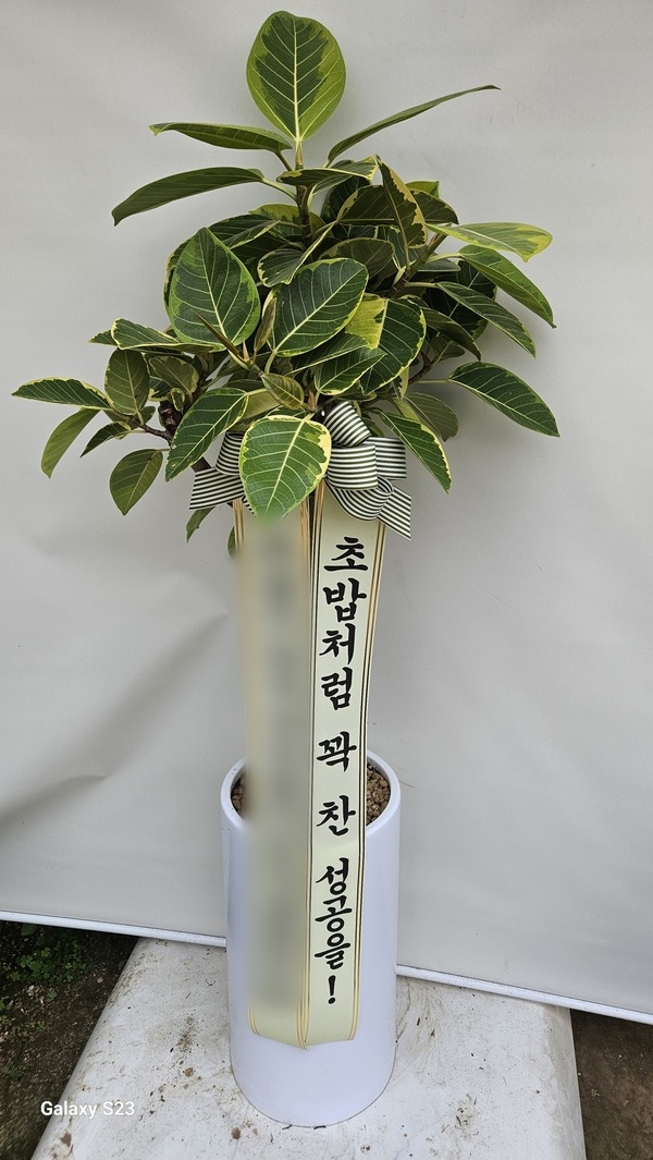 주문자 이ㅇㅇ 천안으로 주문주신 상품입니다